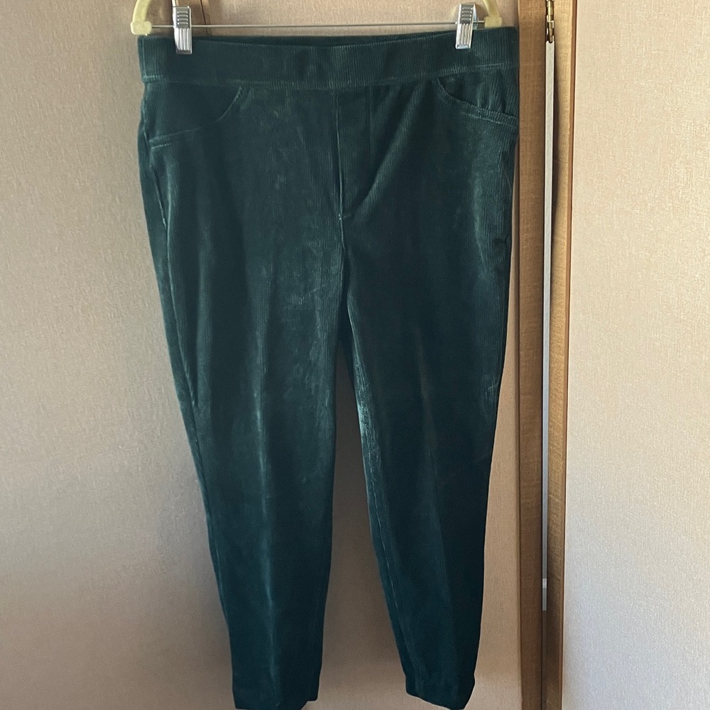 Gloria Vanderbilt green corduroy look pants large